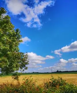 A beautiful view of Naas