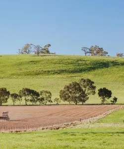 A beautiful view of Castlemaine – a popular city among our users