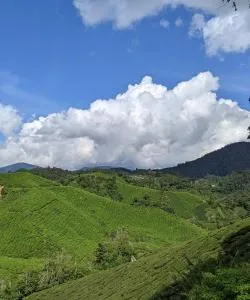 A beautiful view of Kulai – a popular city among our users