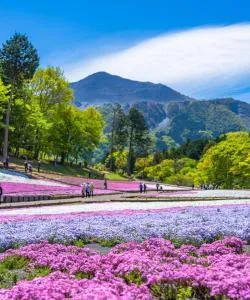 A beautiful view of Saitama
