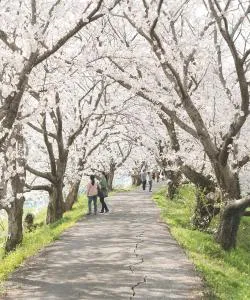 A beautiful view of Kurume