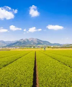 四日市市の美しい景色 ― ユーザーに人気の都市