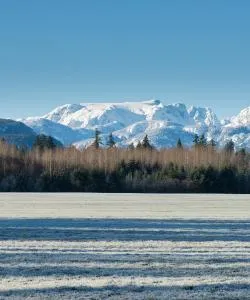 A beautiful view of Courtenay.