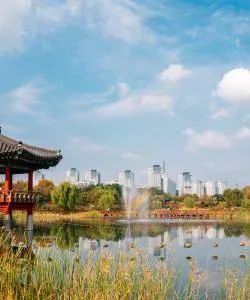 A beautiful view of Daejeon