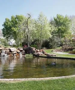 A beautiful view of Garland