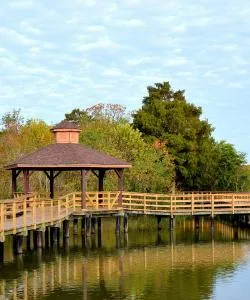 A beautiful view of Metairie