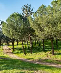 A beautiful view of Tres Cantos