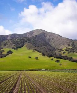 A beautiful view of Salinas – a popular city among our users