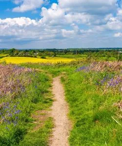 Una bonita panorámica de Oswestry