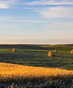 Een mooi uitzicht op Dickinson – een populaire stad onder onze gebruikers
