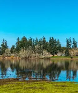 A beautiful view of Hillsboro