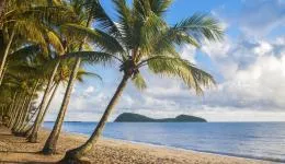 Palm Cove Holiday Homes QLD Tourism