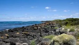 Port Fairy Port Elliot Beach House Yha Great Ocean Road Tourism