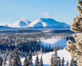 Flughafen Erik Nielsen Whitehorse