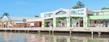 Flights from Los Angeles to Belize City