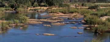 Lodges in Marloth Park