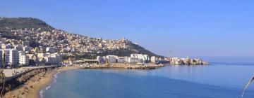 Cheap vacations in Alger