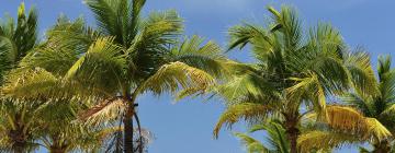 Hoteli u gradu 'Palm Beach'