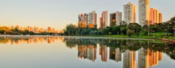 Hoteles que aceptan mascotas en Londrina