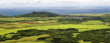 Flights to Lihue