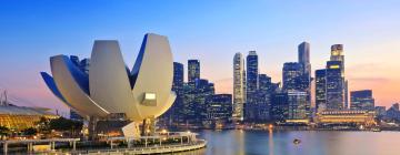 Cheap holidays in Singapore