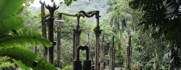 Hotels in Xilitla