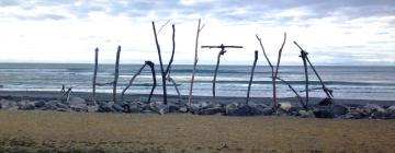 Vacances barates a Hokitika