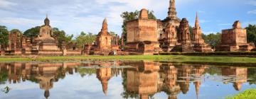 Pet-Friendly Hotels in Sukhothai