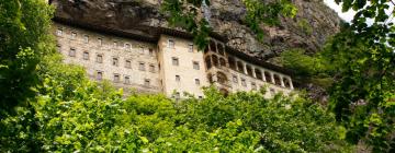 Cottages in Trabzon