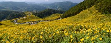 Resorts in Mae Hong Son