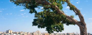 Things to do in Amman