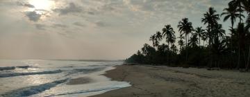 Guest Houses in Palomino