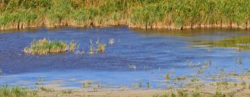 Aluguer de carros em Neusiedl am See