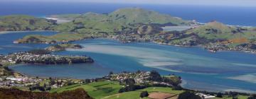 Cheap vacations in Dunedin