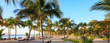 Activități în Playa del Carmen