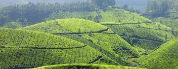 Hotels in Munnar