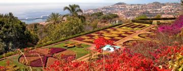 Vluchten van Amsterdam naar Funchal