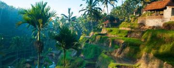 Hotels in Ubud