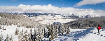 Flights from New York to Vail