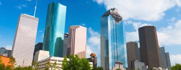 Things to do in Houston