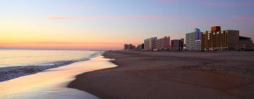 Pet-Friendly Hotels in Virginia Beach