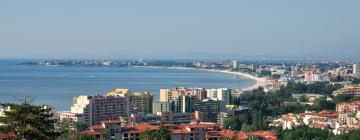 Apartments in Sunny Beach