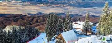 Guest Houses in Poiana Brasov