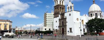 Cheap holidays in Irapuato