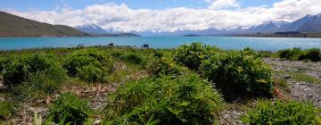 Hotell i Lake Tekapo