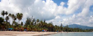 Things to do in Luquillo