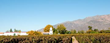 Hotels in Cafayate