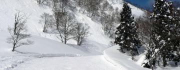 Ubytovania s kúpeľmi onsen v destinácii Yuzawa