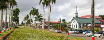 Hoteli u gradu Nieuw Nickerie