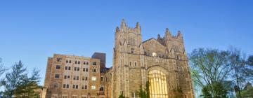 Cheap vacations in Ann Arbor